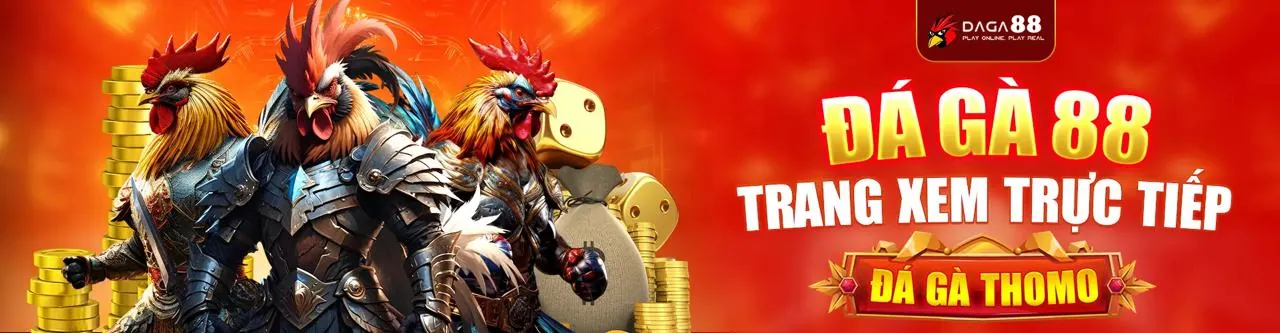 Sự kiện đá gà trực tuyến sôi động tại abcvip link vào